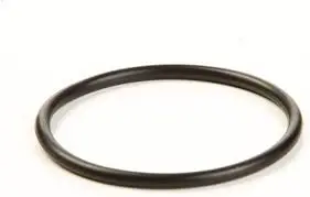 697123 Seal-O Ring Briggs 1