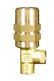 70055 Regulator, Mv510, 200 Psi, Ss Seat, Adjusting Pumptec 1