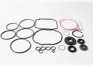 050-8000-00 Seal Kit For Pg, Pj, Pk Bad Boy 1