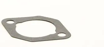 710235 Gasket-Intake Briggs 1