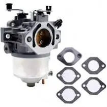 715572 Carburetor Briggs 1