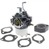 715670 Carburetor Briggs 1