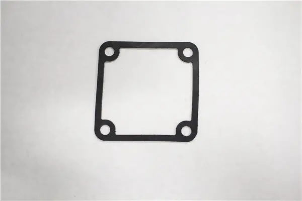 781243 Outlet Seal  2 Inch  Water Pump Northstar Ns1/W2  Sfi 1