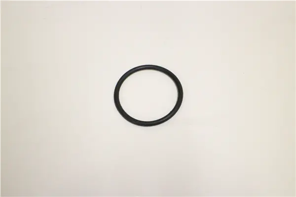782995 Small O--Ring  3  Inch Pump Northstar 1