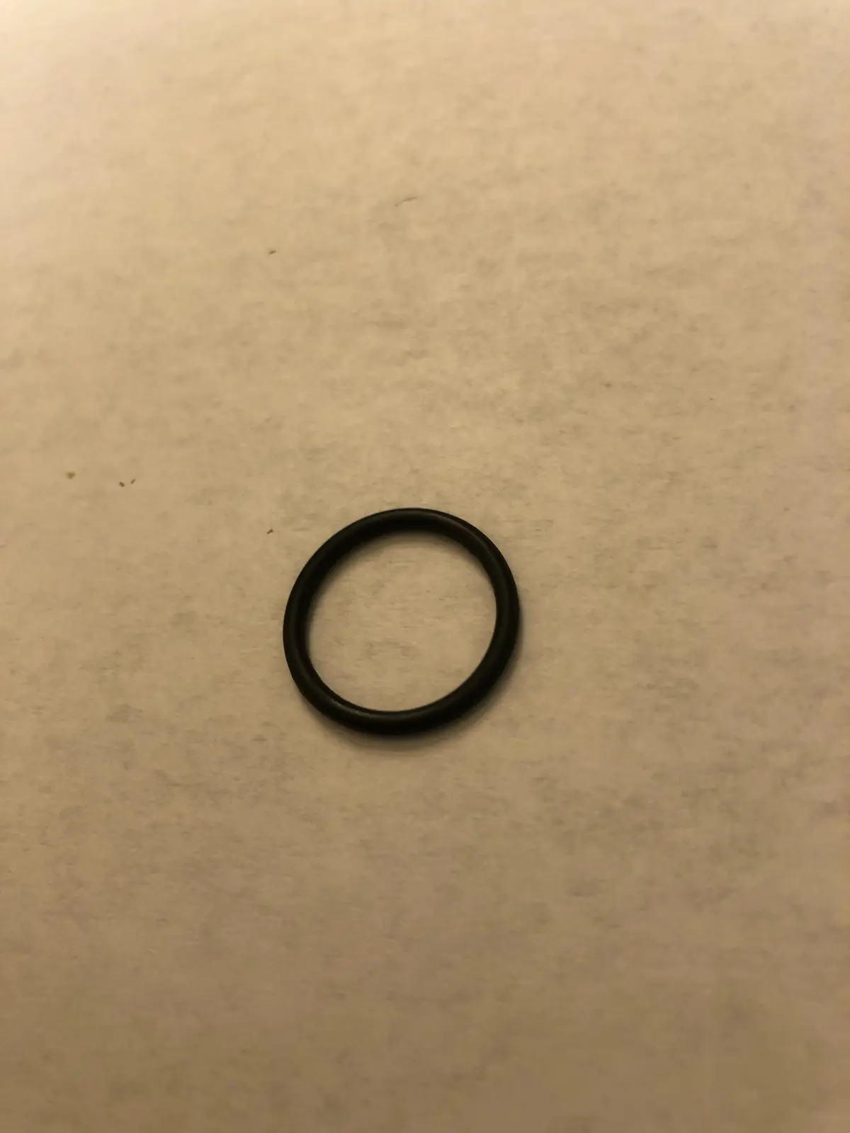 7853 O-Ring Giant 1