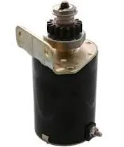 795121  Starter Motor  Briggs 1