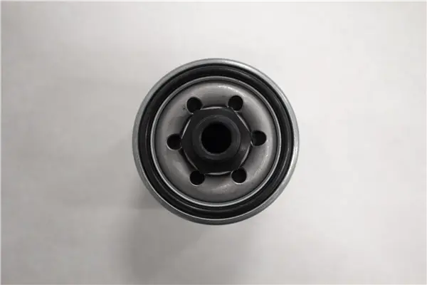 795239 Oil Filter Kit Powerhorse/Northstar 1