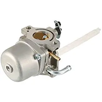 796122 Carburetor Briggs 1