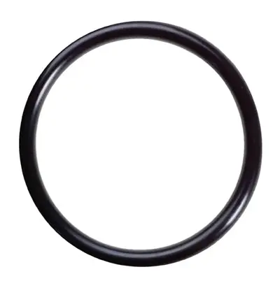 8.703-650.0 O-Ring, Bn70-155 (101.27X2.62) Landa 1