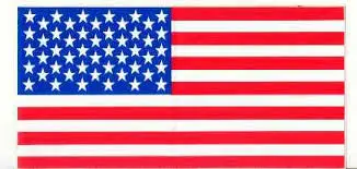 800020 Decal American Flag Dixie Chopper Wh2 1