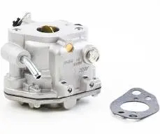 809011 Carburetor Briggs 1