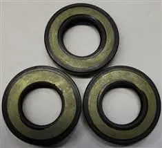 9577 Oil Seal Kit, Lp Giant 1