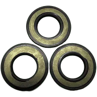 09577 Oil Seal Kit Giant 1