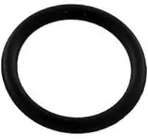 960160 O-Ring For Valve Cap Ar No America 1