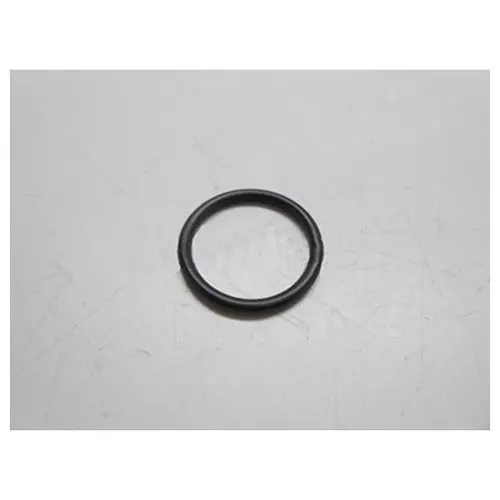 97840Gs O-Ring Briggs And Stratton Bpw10/Wh4 1