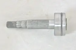 137553 Shaft With Lower Bearing Ayp 1