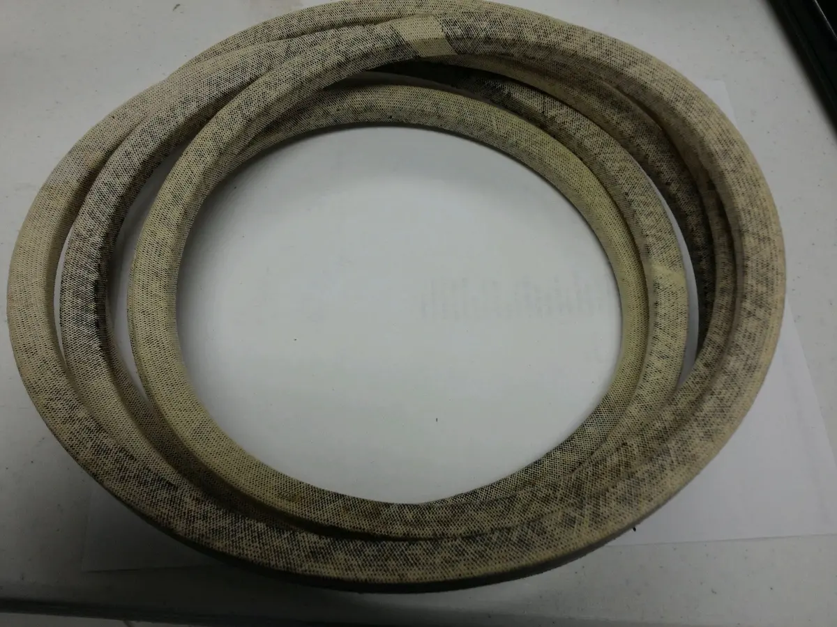 791988 Belt Big Dog 1