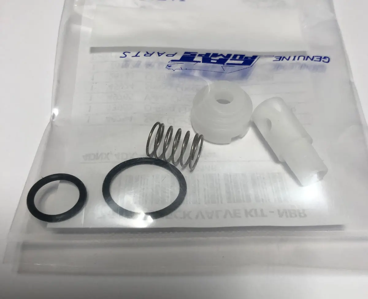 Ca76146 Check Valve Kit Northstar 1