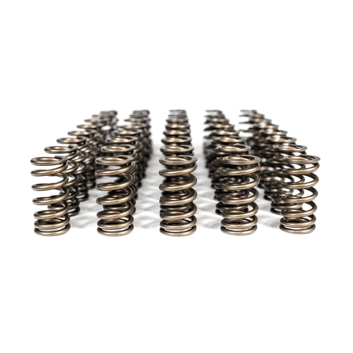 Valve Spring Kit S85 | Bmw M5/M6 1