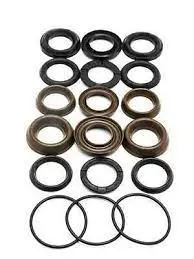 Co5019021800 Water Seal Kit Northstar 1