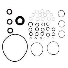 Co5019064900 Low Pressure Seal Kit For Comet Pump Northstar 1
