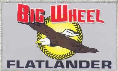 800017 Decal Big Wheel Flatlander Dixie Chopper W3 1