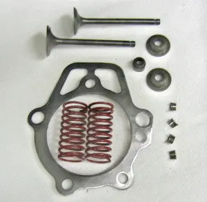0D24890esv Valve Kit Generac 1