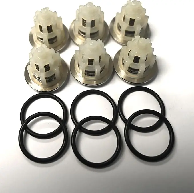 Gp169/49.6169 Valve Kit (Tsf2021) General Pump 1