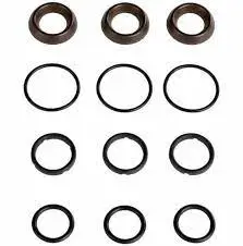 Gpk97 Water Seal Kit General Pump/Northstar 1