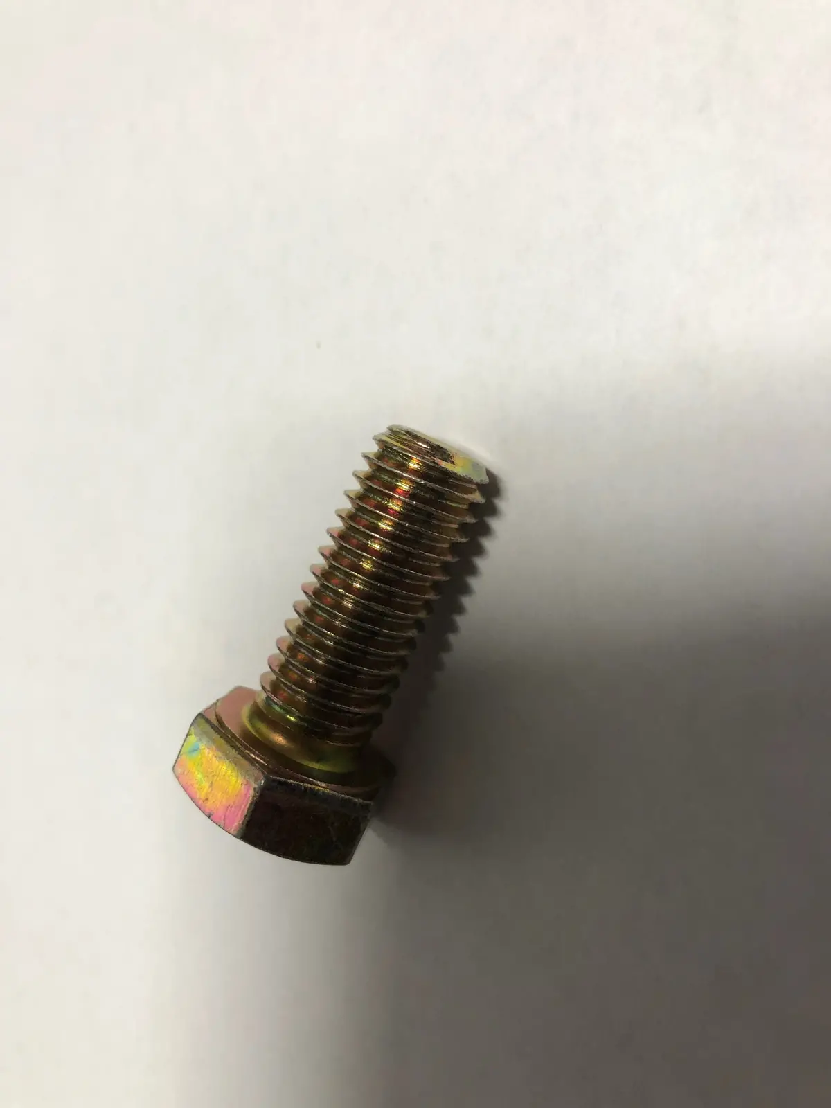 705954 Bolt Big Dog 1