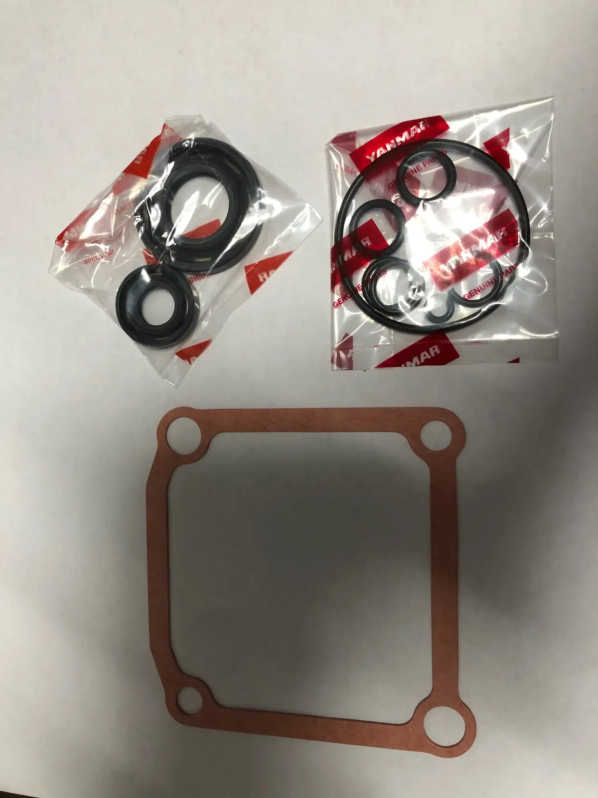 901744 (168P3199010) Seal Kit Dixie Chopper White Pump Tt-1/Wh3 1