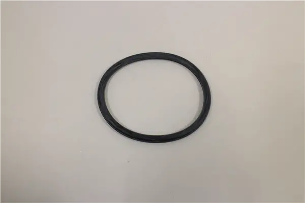 Iz0113989 Small O-Ring   3 Inch Pump Northstar 1