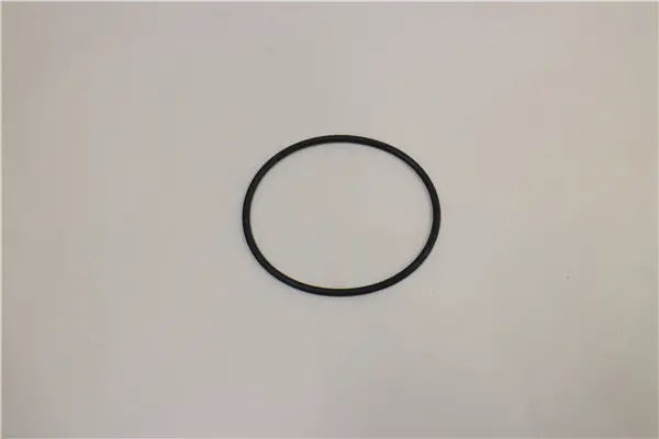 Iz0115676 O-Ring 3 Inch Pump Northstar Ns8/Wh2t 1