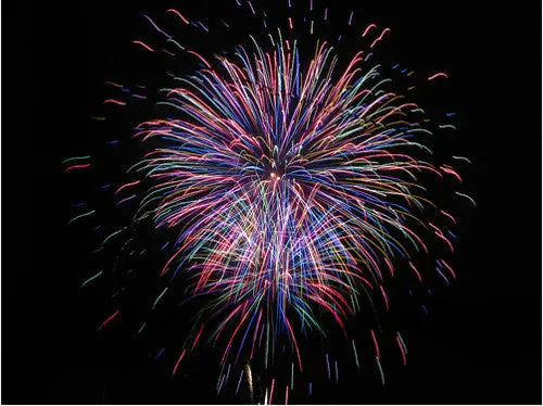 Morin Fireworks - $50.00 Certificate 1