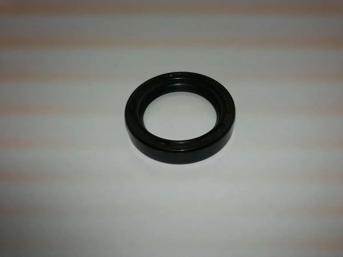 Ab9163010 Oil Seal Northstar 1