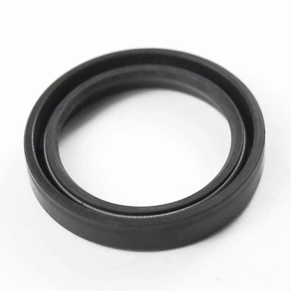 046-0161 Oil Seal Sanborn 1