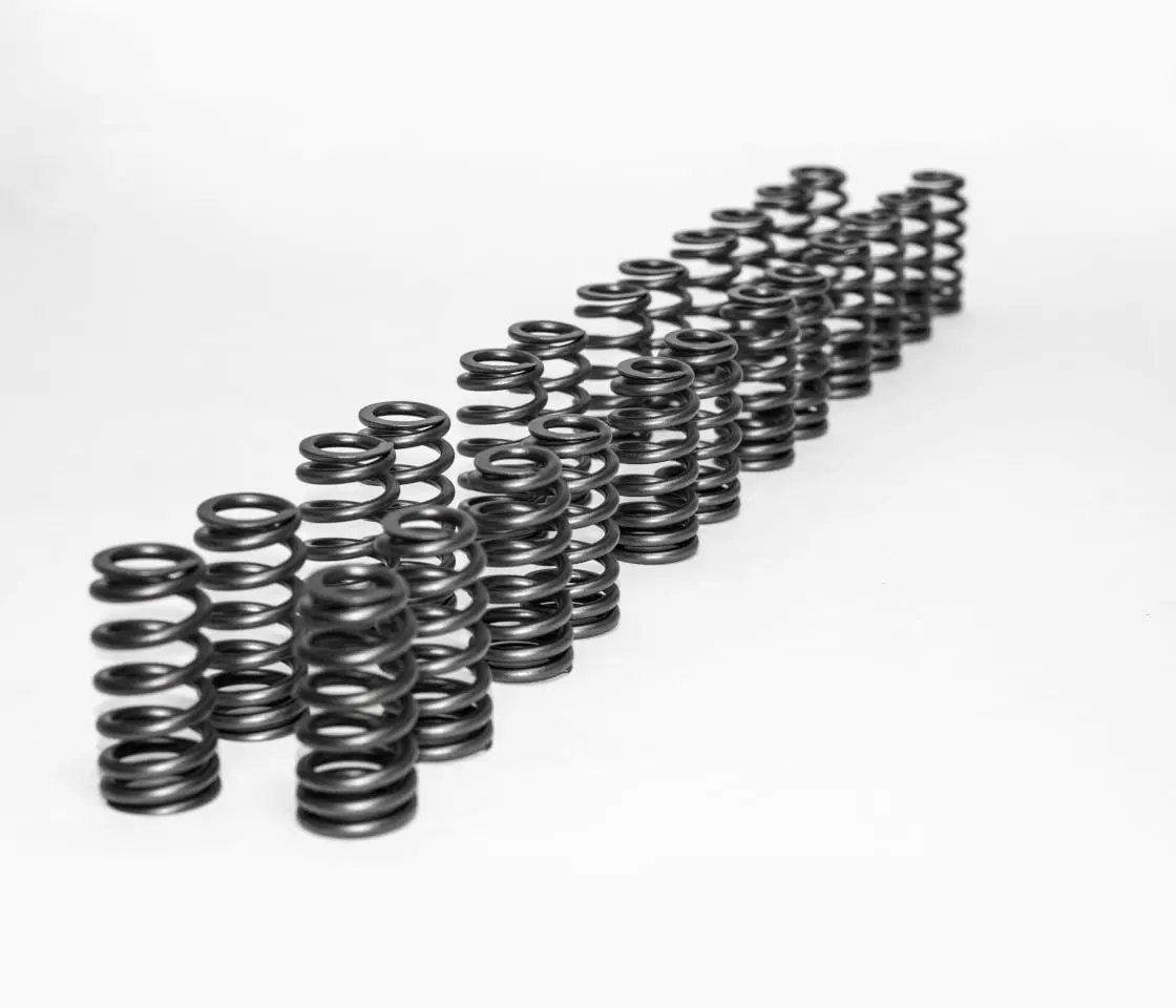 High Performance Valve Spring Kit | Bmw S55/S58/B58 1