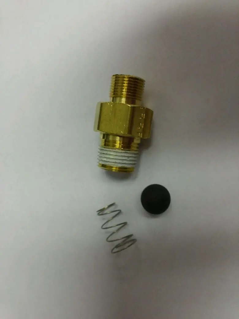 139-0013 Check Valve Assembly Sanborn 1