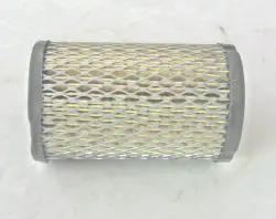 34700B Air Filter Tecumseh 1
