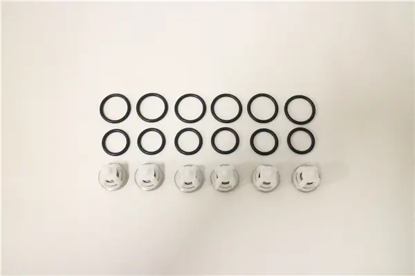 Co5025001100 Check Valve Kit Comet 1