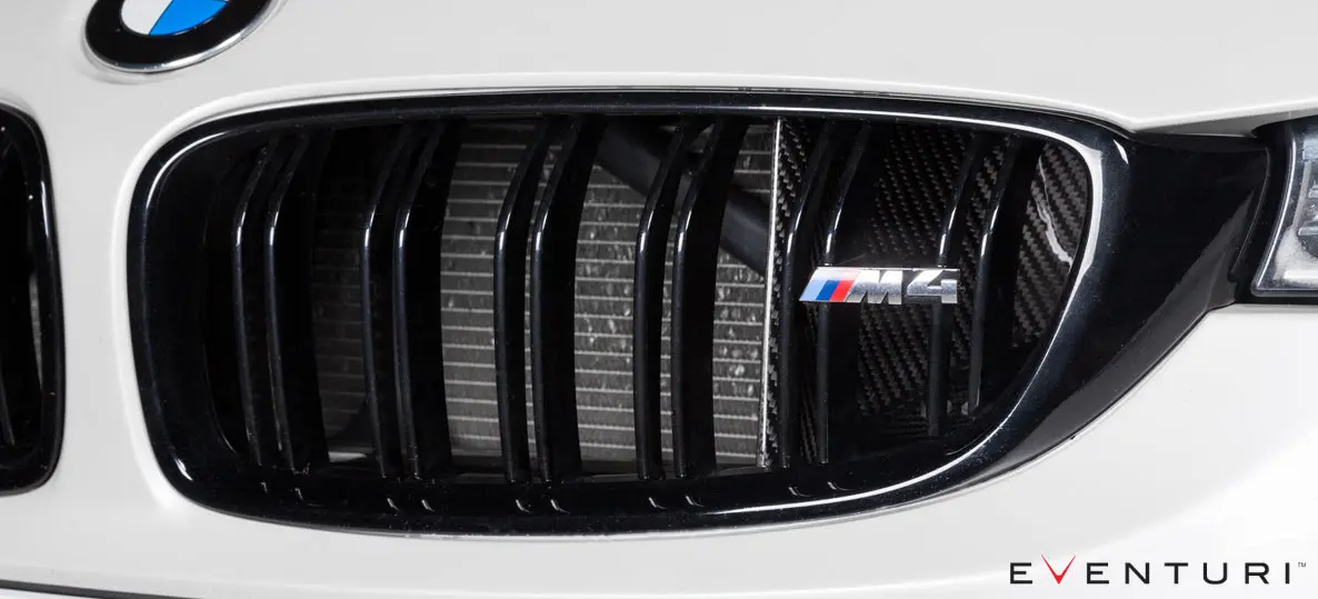 Eventuri Bmw F8x M3 / M4 Black Carbon Air Scoop Set 1