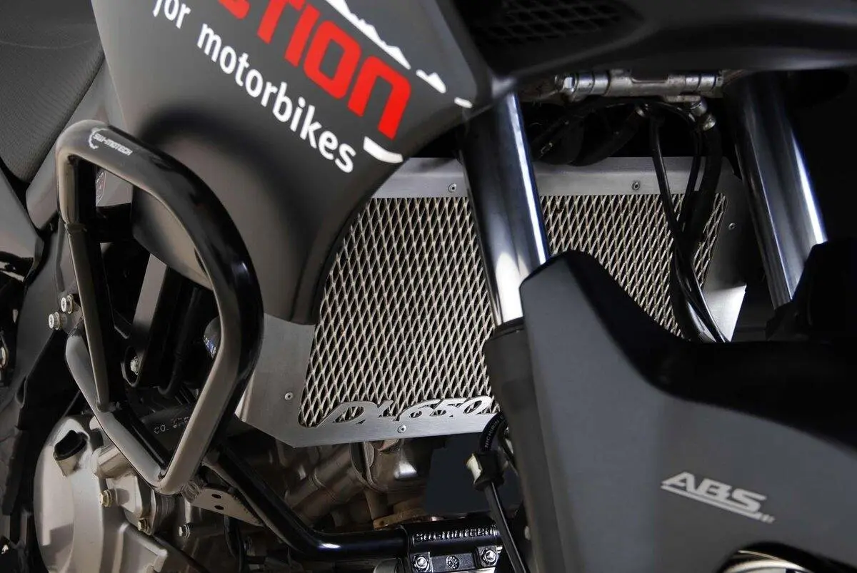 Sw Motech Radiator Guard (Black) Fits For Suzuki Dl 650 V-Strom ('04-'10) 1
